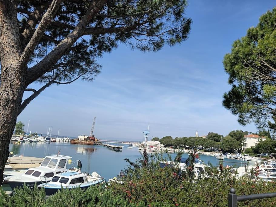 Ferienwohnung Nena In Crikvenica Zewnętrze zdjęcie