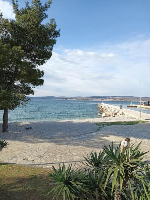 Ferienwohnung Nena In Crikvenica Zewnętrze zdjęcie