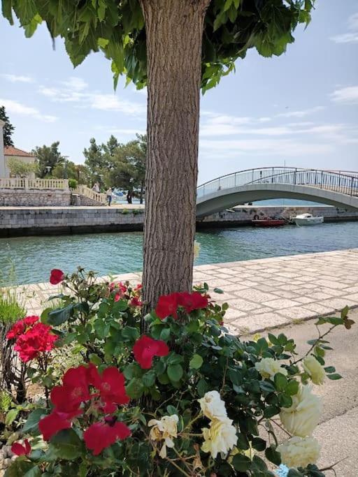 Ferienwohnung Nena In Crikvenica Zewnętrze zdjęcie